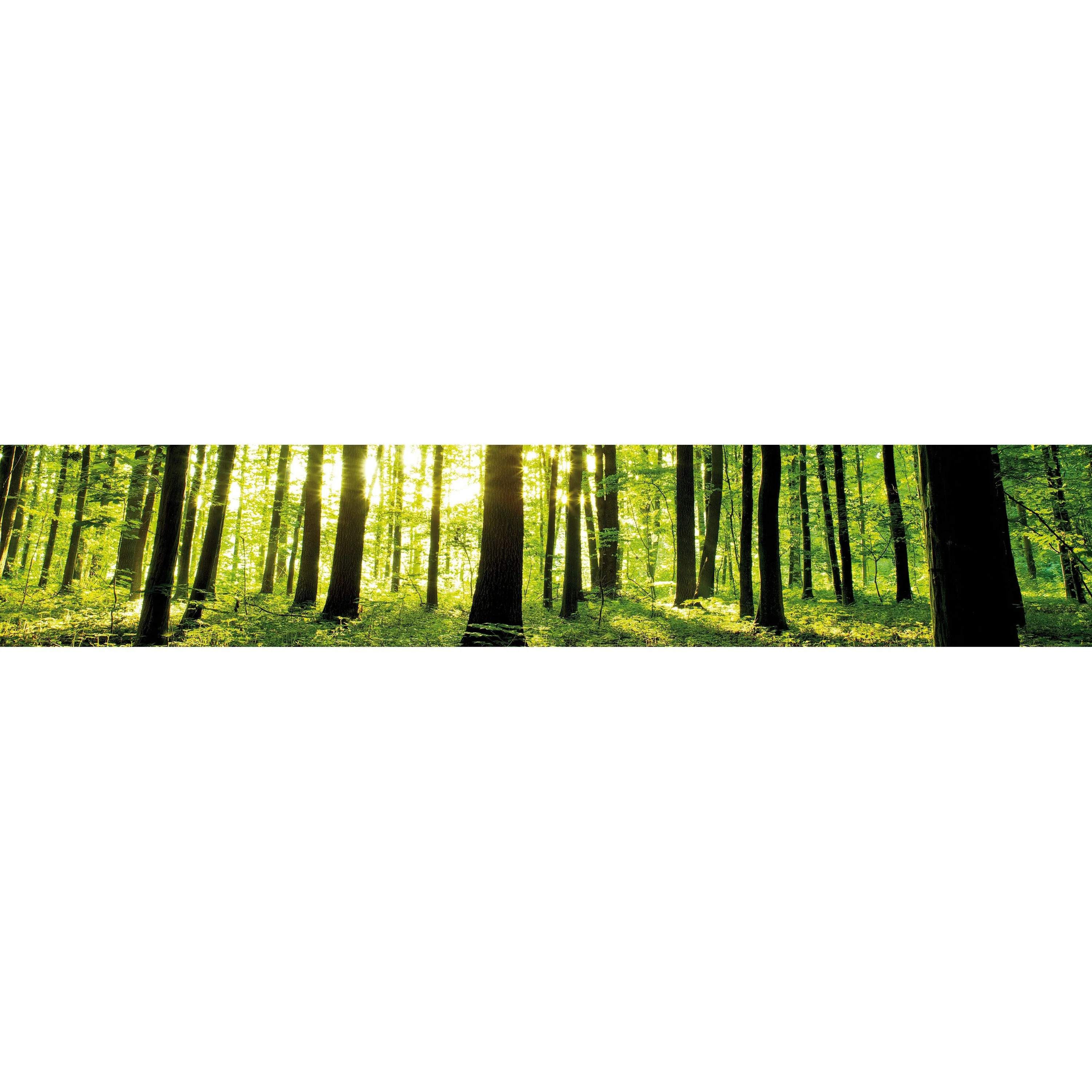 Vorschaubild 36